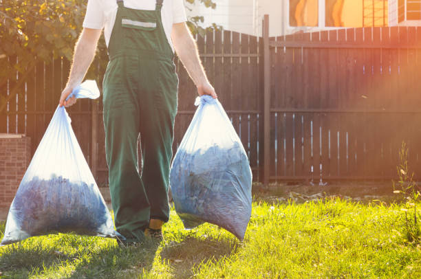Best Dumpster Rental Services  in Peoria, AZ